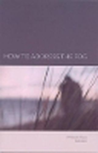 How to Address the Fog: XXV Finnish Poems 1978-2002