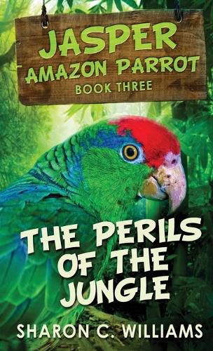 Cover image for The Perils Of The Jungle