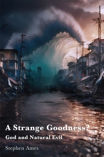 Cover image for A Strange Goodness?