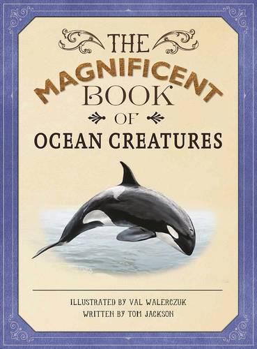 Cover image for The Magnificent Book of Ocean Creatures