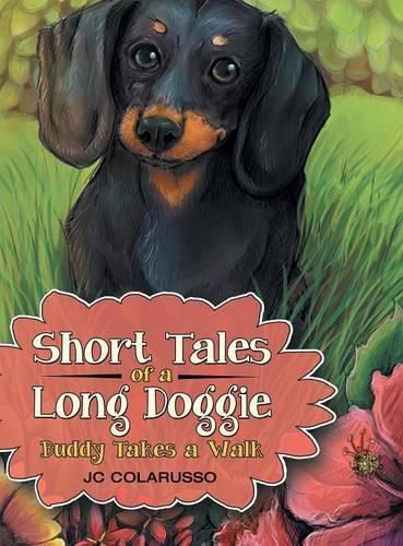 Cover image for Short Tales of a Long Doggie: Buddy Takes a Walk