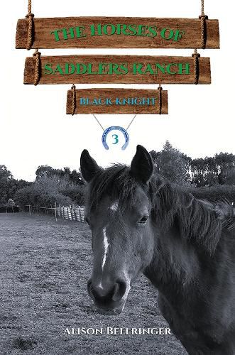 Cover image for The Horses of Saddlers Ranch: Black Knight