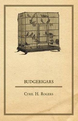 Cover image for Budgerigars