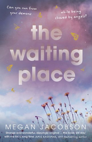 Cover image for The Waiting Place