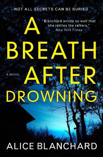 Cover image for A Breath After Drowning