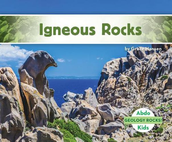 Cover image for Igneous Rocks