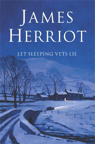 Cover image for Let Sleeping Vets Lie