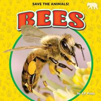 Cover image for Bees