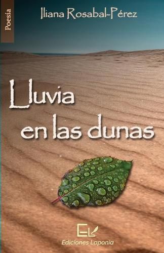 Cover image for Lluvia en las dunas