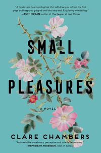 Cover image for Small Pleasures