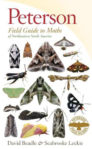 Cover image for Peterson Field Guide To Moths Of Northeastern North America