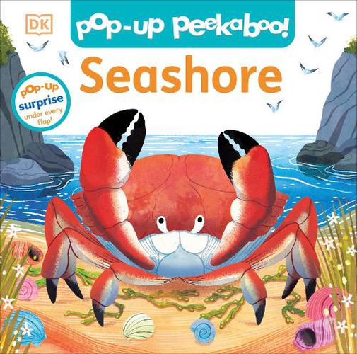 Cover image for Pop-Up Peekaboo! Seashore