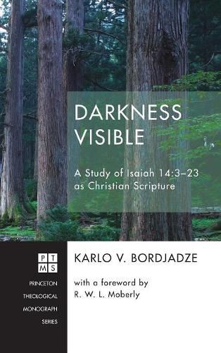 Cover image for Darkness Visible: A Study of Isaiah 14:3-23 as Christian Scripture