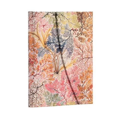 Cover image for Anemone Midi Lined Hardcover Journal (Wrap Closure)