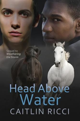 Cover image for Head Above Water