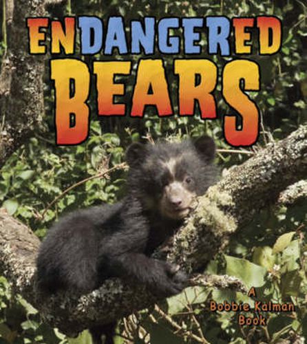 Cover image for Endangered Bears