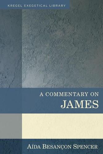 Cover image for A Commentary on James