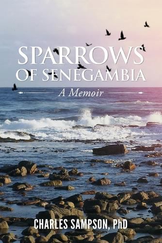 Cover image for Sparrows of Senegambia