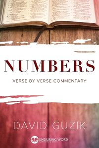 Cover image for Numbers