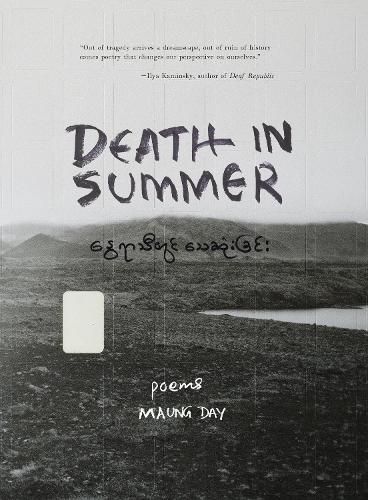 Cover image for Death in Summer