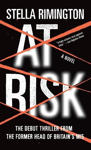 Cover image for At Risk: A Novel