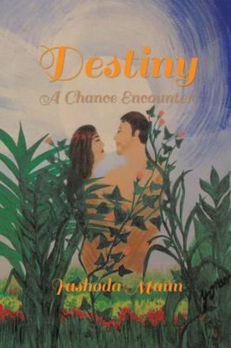 Cover image for Destiny: A Chance Encounter