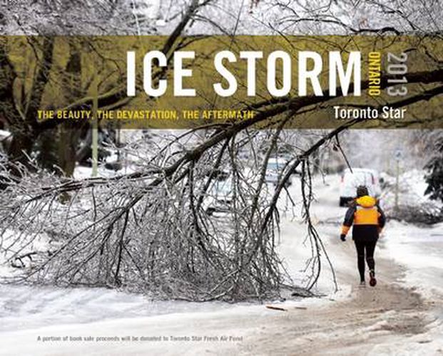 Ice Storm, Ontario 2013: The Beauty, the Devastation, the Aftermath