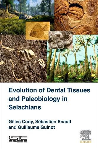 Cover image for Evolution of Dental Tissues and Paleobiology in Selachians