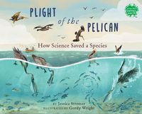 Cover image for Plight of the Pelican