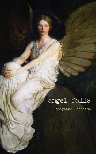 Cover image for angel falls