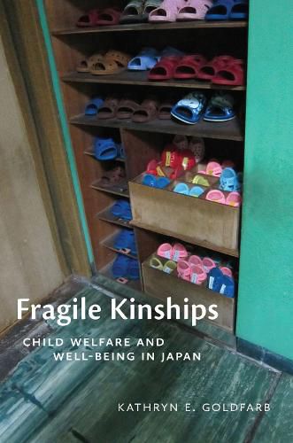 Cover image for Fragile Kinships