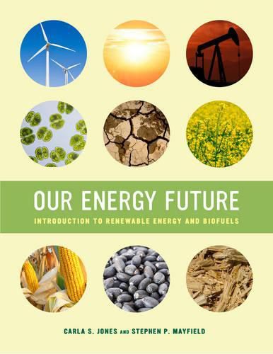 Cover image for Our Energy Future: Introduction to Renewable Energy and Biofuels