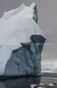 Cover image for Blizzard: Poems
