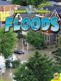 Cover image for Floods