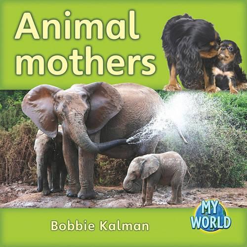 Cover image for Animal Mothers