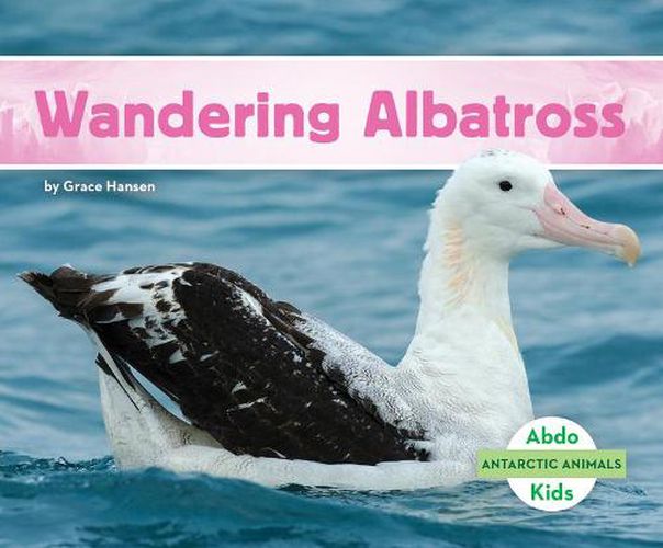 Cover image for Wandering Albatross