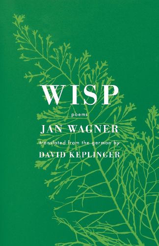 Cover image for Wisp