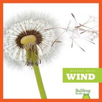 Cover image for Wind