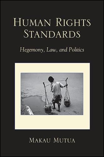 Cover image for Human Rights Standards: Hegemony, Law, and Politics