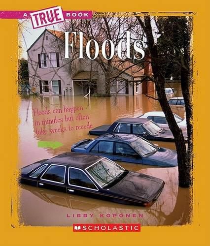 Cover image for Floods