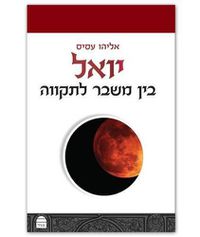 Cover image for Yoel: Between Crisis and Hope