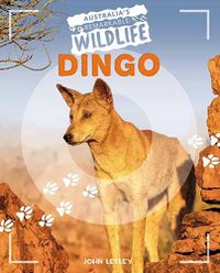 Cover image for Dingo