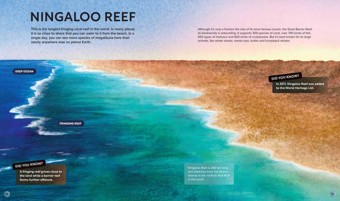 Ningaloo: Australia's Wild Wonder