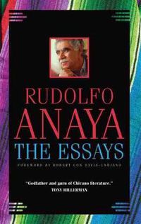 Cover image for The Essays