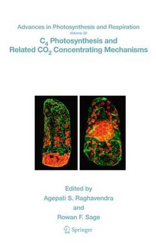 Cover image for C4 Photosynthesis and Related CO2 Concentrating Mechanisms