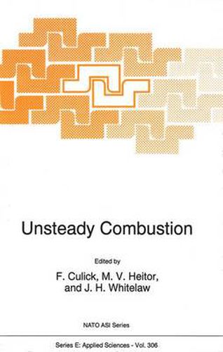 Cover image for Unsteady Combustion