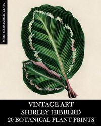 Cover image for Vintage Art: Shirley Hibberd 20 Botanical Plant Prints