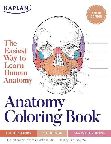Cover image for Anatomy Coloring Book with 450+ Realistic Medical Illustrations with Quizzes for Each