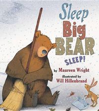 Cover image for Sleep, Big Bear, Sleep!
