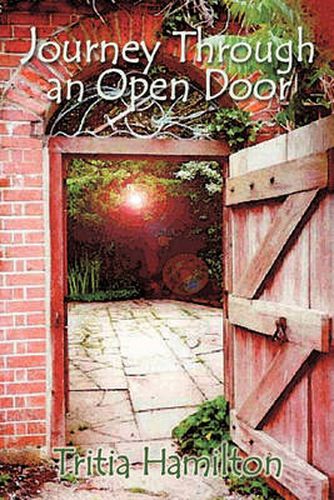 Cover image for Journey Through an Open Door